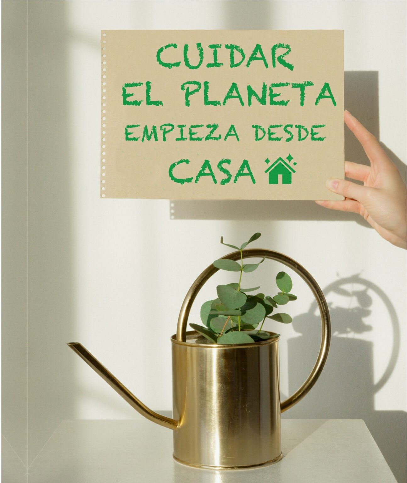 5 acciones para cuidar el medio ambiente desde casa - RITUAL DÉCO ...